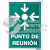 SES6 SEÑAL "PUNTO DE REUNION" SURTEK